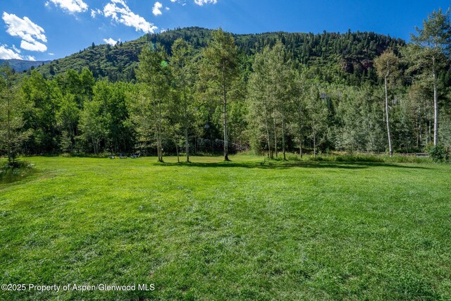 285 Conundrum Rd, Aspen, CO 81611 - photo 15