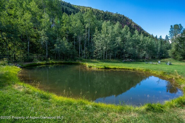 285 Conundrum Rd, Aspen, CO 81611 - photo 3