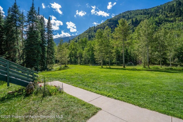 285 Conundrum Rd, Aspen, CO 81611 - photo 14