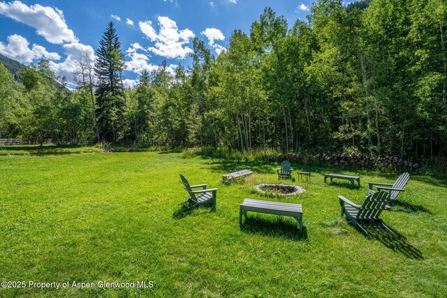 285 Conundrum Rd, Aspen, CO 81611 - photo 19