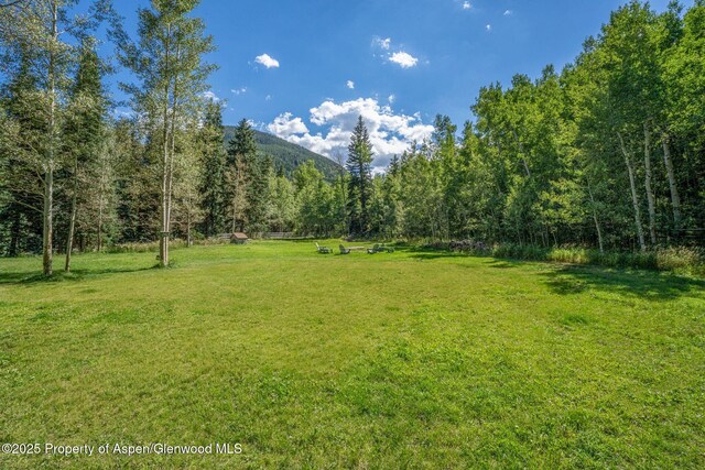 285 Conundrum Rd, Aspen, CO 81611 - photo 18