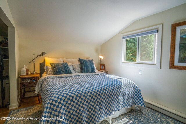 285 Conundrum Rd, Aspen, CO 81611 - photo 11