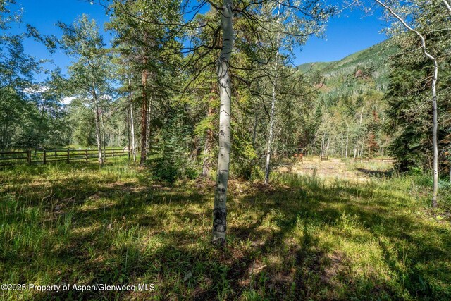 285 Conundrum Rd, Aspen, CO 81611 - photo 28