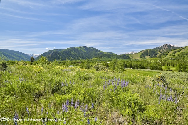 TBD Stage Rd Lot 6, Aspen, CO 81611 - photo 1