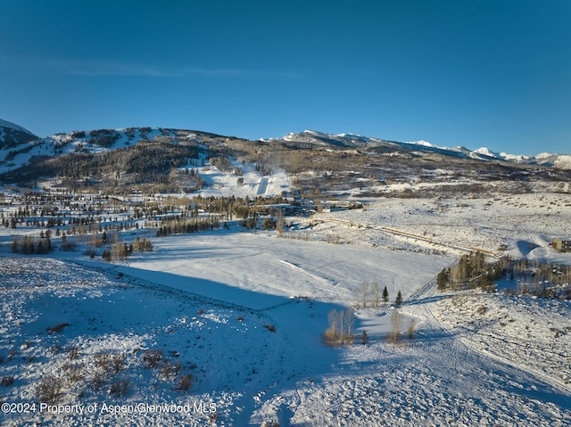 TBD Stage Rd Lot 6, Aspen, CO 81611 - photo 10