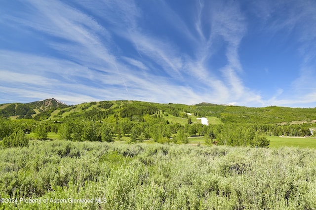 TBD Stage Rd Lot 6, Aspen, CO 81611 - photo 5