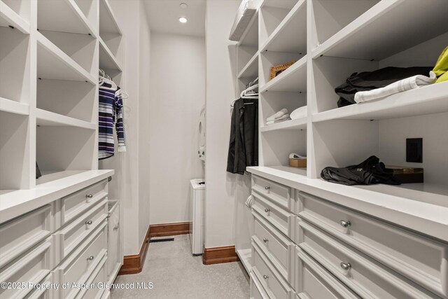 1430 Sierra Vista Dr, Aspen, CO 81611 - photo 40