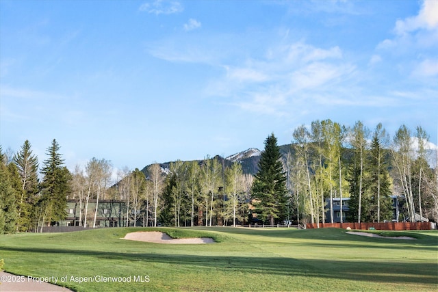 1430 Sierra Vista Dr, Aspen, CO 81611 - photo 52