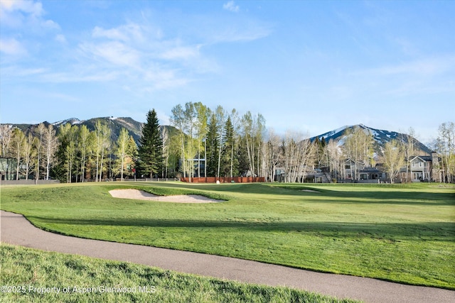 1430 Sierra Vista Dr, Aspen, CO 81611 - photo 53