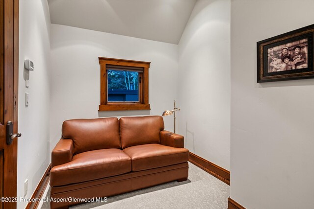 1430 Sierra Vista Dr, Aspen, CO 81611 - photo 41