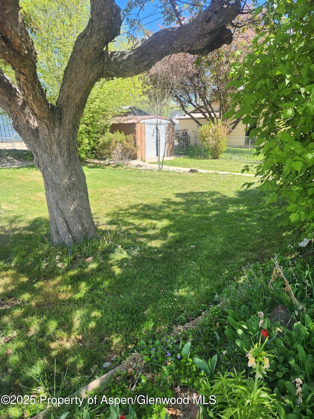 view of yard with a storage shed and an outbuilding