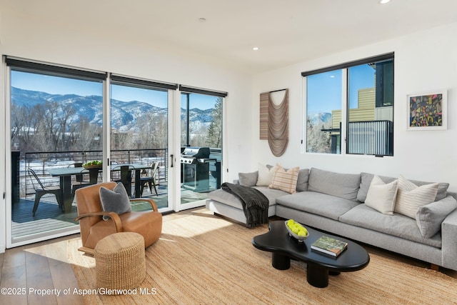 living room with hardwood / wood-style flooring and a mountain view