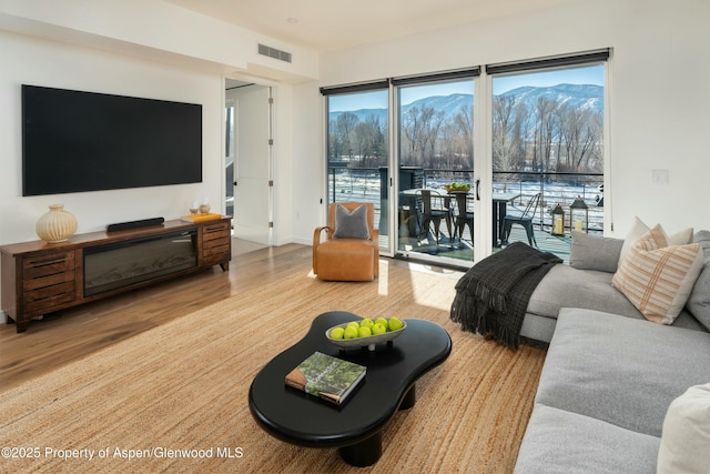 living room featuring wood-type flooring