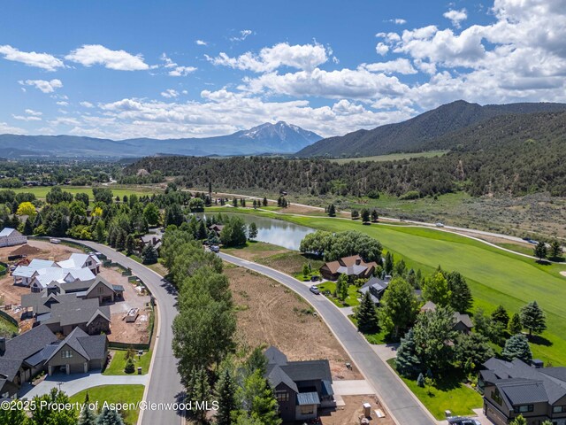 382 Golden Bear Dr, Carbondale, CO 81623 - photo 1
