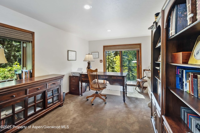 425 Crystal Park Dr, Redstone, CO 81623 - office space with carpet flooring, recessed lighting, and baseboards