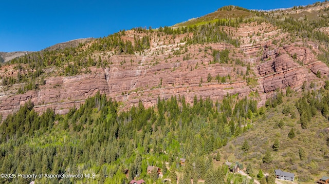 425 Crystal Park Dr, Redstone, CO 81623 - view of mountain backdrop