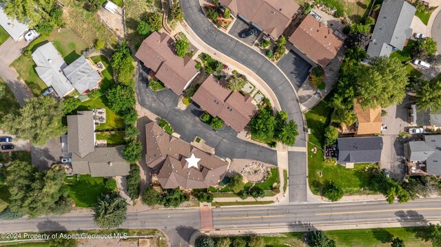 bird's eye view