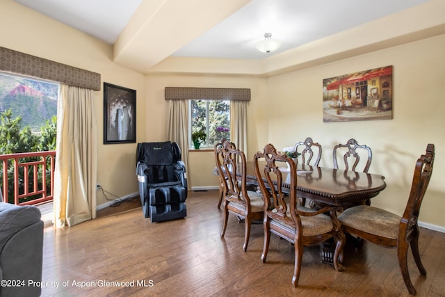 dining room with hardwood / wood-style floors