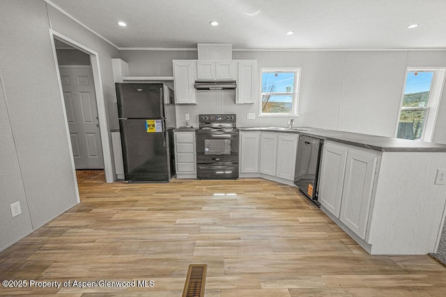 kitchen featuring under cabinet range hood, light wood-style floors, a sink, and black appliances
