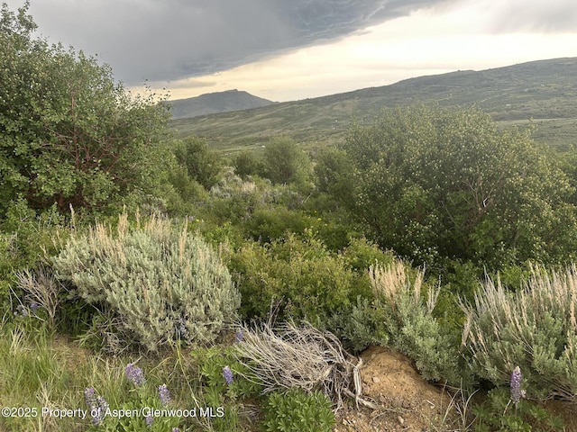 1141 Sprout Dr, Craig, CO 81625