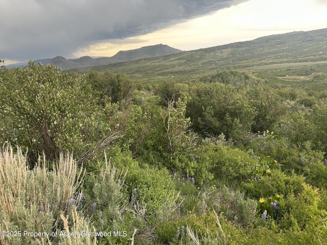 1141 Sprout Dr, Craig, CO 81625
