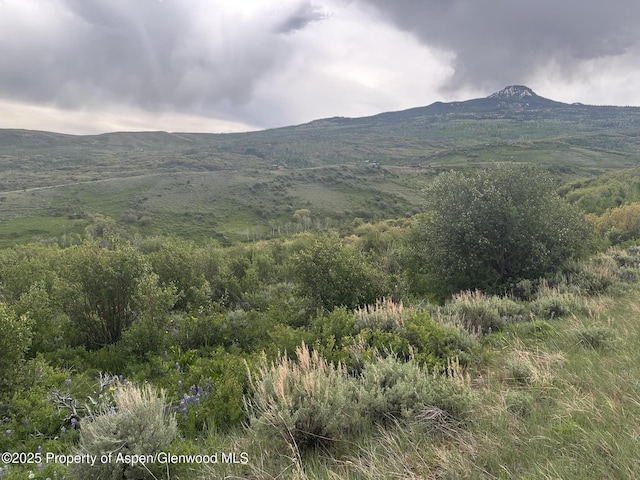 1141 Sprout Dr, Craig, CO 81625