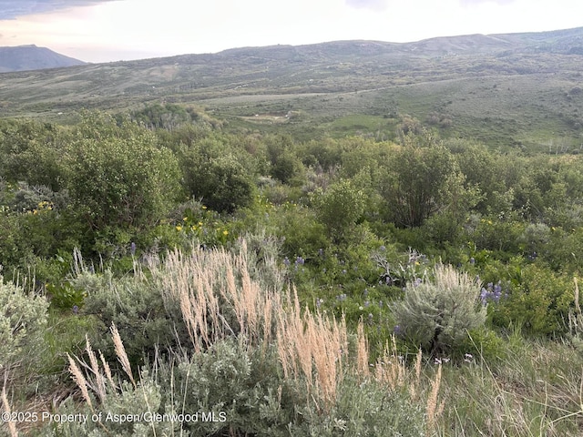 1141 Sprout Dr, Craig, CO 81625