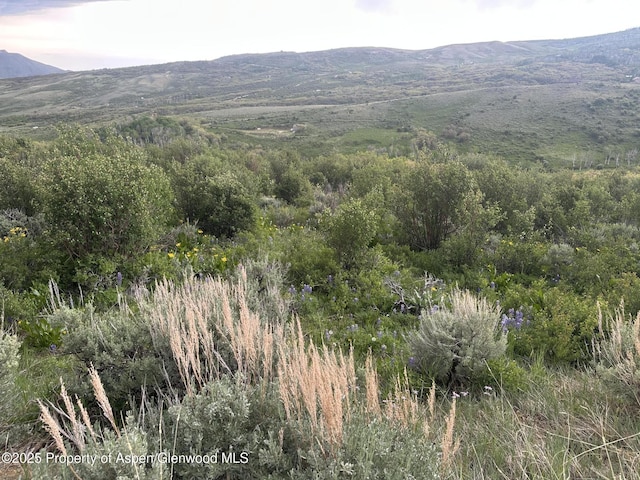1141 Sprout Dr, Craig, CO 81625