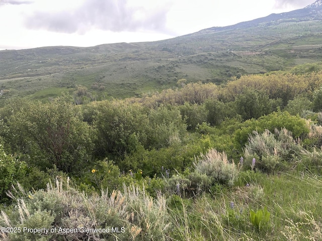 1141 Sprout Dr, Craig, CO 81625