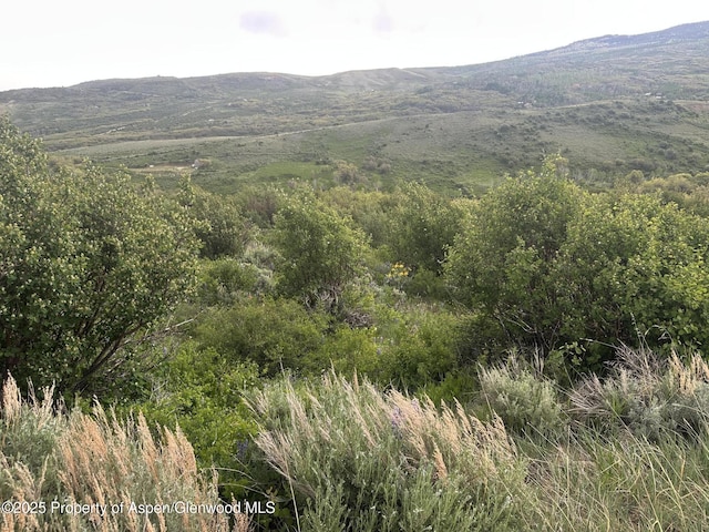 1141 Sprout Dr, Craig, CO 81625