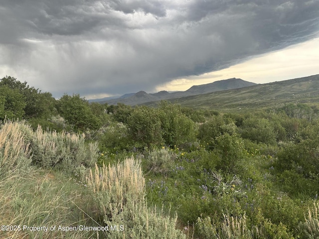 1141 Sprout Dr, Craig, CO 81625