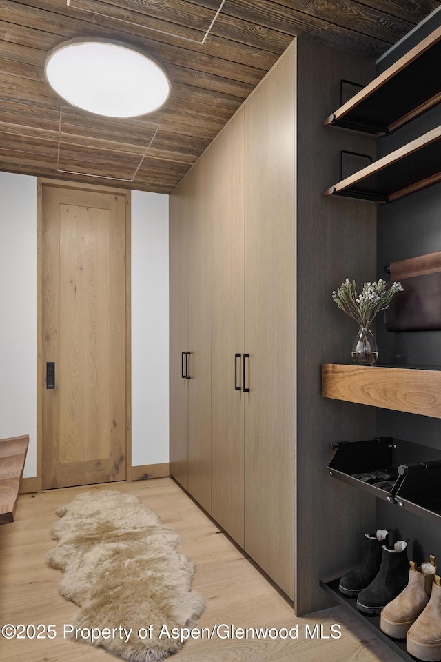 411 Pearl Ct, Aspen, CO 81611 - view of closet