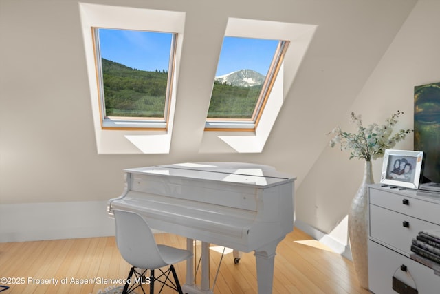 2240 Old Herron Rd, Basalt, CO 81621 - living area with a skylight and wood finished floors