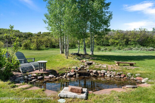 2240 Old Herron Rd, Basalt, CO 81621 - surrounding community featuring a yard