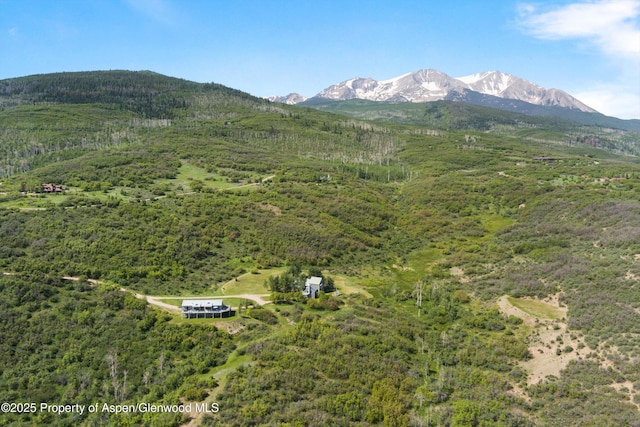 2240 Old Herron Rd, Basalt, CO 81621 - mountain view with a heavily wooded area