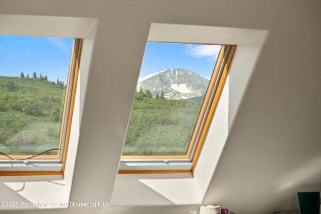2240 Old Herron Rd, Basalt, CO 81621 - detailed view of a mountain backdrop