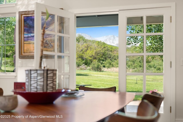 2240 Old Herron Rd, Basalt, CO 81621 - dining room featuring a mountain view