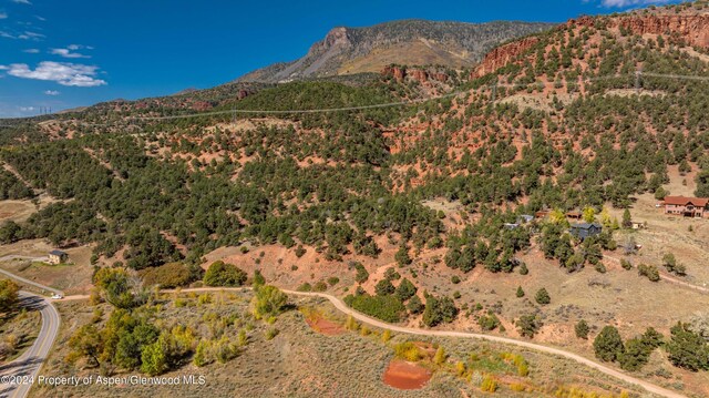 4269 Frying Pan Rd Lot # 3, Basalt, CO 81621
