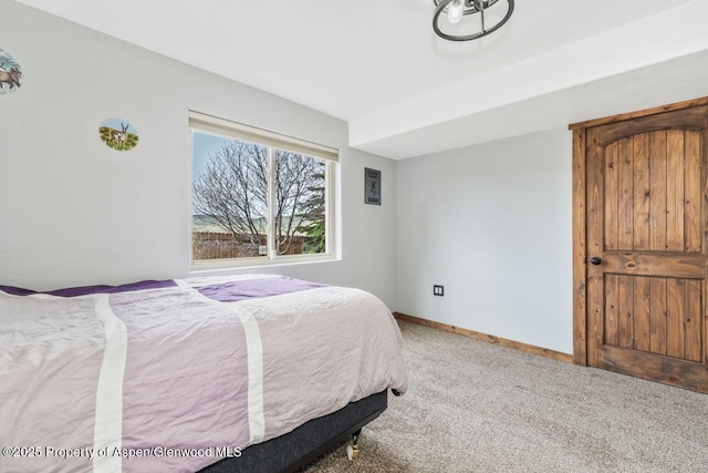 268 Harvest Dr, Hayden, CO 81639 - photo 34