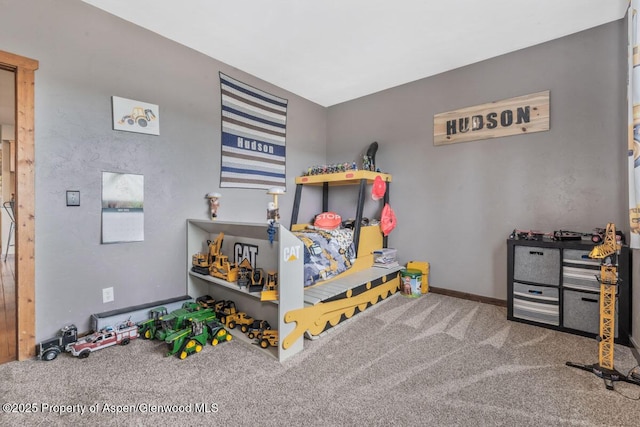 268 Harvest Dr, Hayden, CO 81639 - photo 24