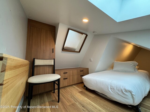 910 W Hallam St Unit 9, Aspen, CO 81611 - photo 13