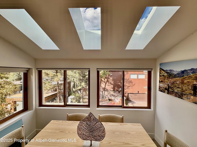 910 W Hallam St Unit 9, Aspen, CO 81611 - photo 7