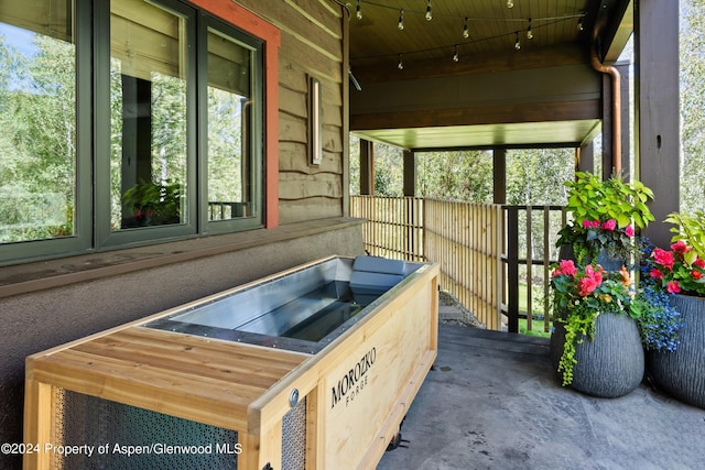 1271 Ute Ave, Aspen, CO 81611 - view of sunroom