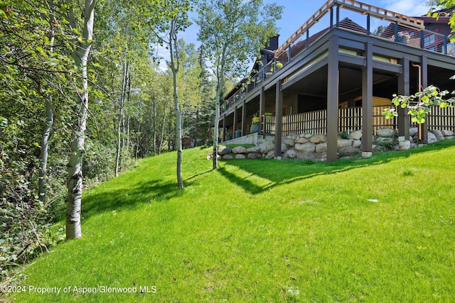 1271 Ute Ave, Aspen, CO 81611 - view of grassy yard