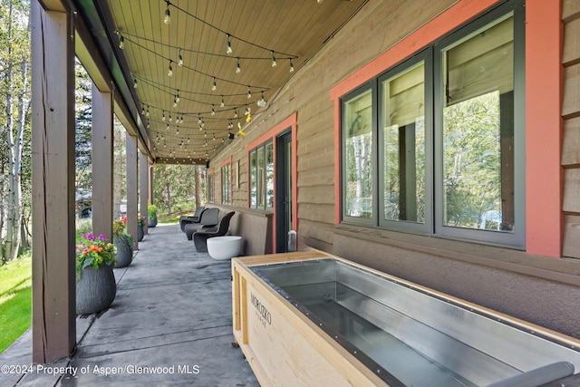 1271 Ute Ave, Aspen, CO 81611 - view of patio