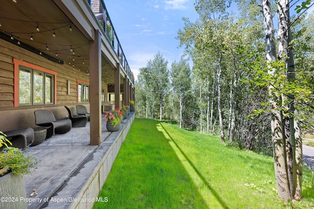 1271 Ute Ave, Aspen, CO 81611 - view of grassy yard with a patio