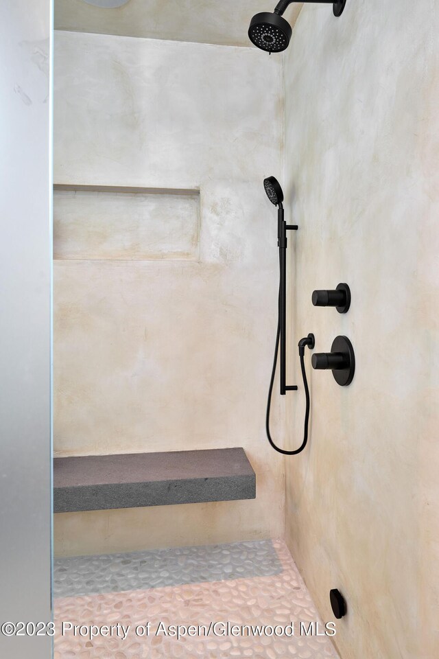 1271 Ute Ave, Aspen, CO 81611 - bathroom view of a tile shower