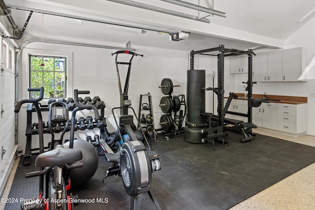 1271 Ute Ave, Aspen, CO 81611 - workout area with a garage