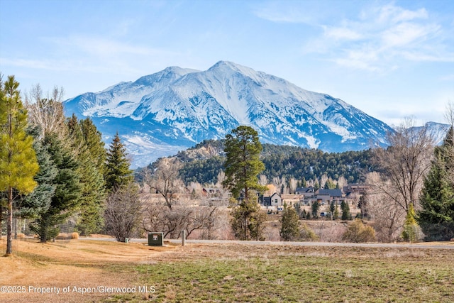255 Snowcap Cir, Carbondale, CO 81623 - view of mountain backdrop