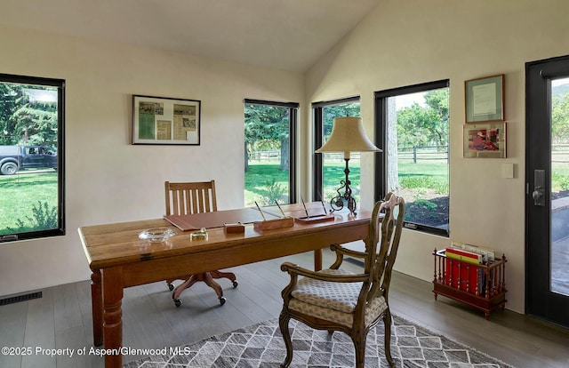 3333 Snowmass Creek Rd, Snowmass, CO 81654 - office featuring lofted ceiling and wood finished floors